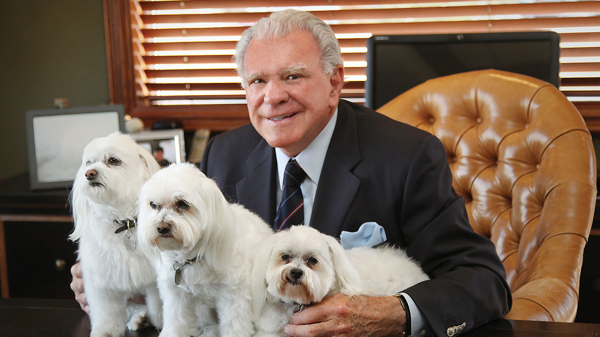 EdandDogs